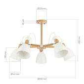 Потолочная люстра Evoluce Balcamo SLE103802-05