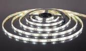 Светодиодная лента (UL-00002971) Uniel 5M теплый белый 6W 2835SMD 60LED/m ULS-2835-60LED/m-8mm-IP20-