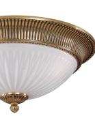 Потолочный светодиодный светильник Favourite Flashled 2066-30C