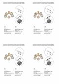 Потолочная люстра Vitaluce V3772-8/5PL