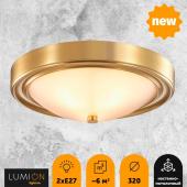 Настенно-потолочный светильник Lumion Nina 5259/2C