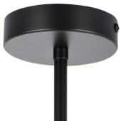 Подвесная люстра Lightstar Siena 720087