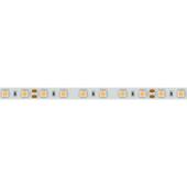 Светодиодная лента Arlight RT-A120-5mm 24V Warm3000 024105(2)