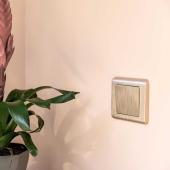 Рамка на 1 пост Werkel Stream шампань W0012111 4690389162176