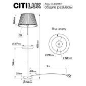 Торшер Citilux Линц CL402980T