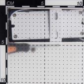Бра Citilux Eletto Krown EL334W16.1