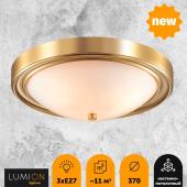 Настенно-потолочный светильник Lumion Nina 5259/3C