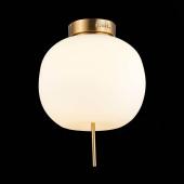 Потолочный светодиодный светильник Evoluce Qvo SLE200702-01