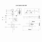 Потолочная люстра Lumien Hall Trey LH4138/6CA-BK-BR