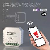 Диммируемое Wi-Fi реле Elektrostandard 76003/00 4690389171628