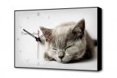Настенные часы Серая кошка Timebox Toplight 37х60х4см TL-C5022