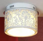 Потолочный светильник Lightstar Ottico 214410