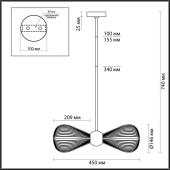 Подвесная люстра Odeon Light Exclusive Elica 5418/2