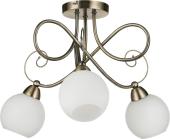 Потолочная люстра Spot Light Florina 5740311