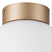 Настенно-потолочный светильник Lightstar Globo 812013