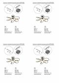Потолочная люстра Vitaluce V3076-1/6PL