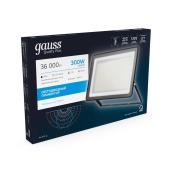 Прожектор светодиодный Gauss Qplus 300W 6500К 613511300